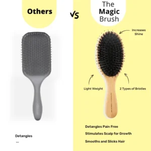The Magic Brush - Image 5